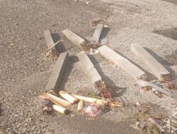 Proyek Pembangunan Tambatan Perahu Desa Lokki 2025 Mangkrak, Potensi Kerugian Capai Ratusan Juta  