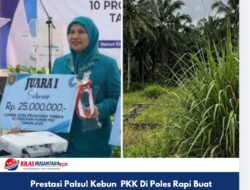 Prestasi Palsu! Kebun PKK SBB Di Poles Rapi Buat Penilaian Sesaat, Selesai Lomba Kini Jadi Hutan Rumput, Apa Manfaatnya.?