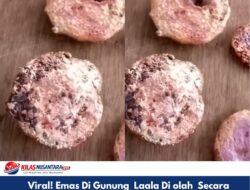 Viral! Emas Di Gunung Laala Di olah Secara Manual Oleh Warga, Mantan Kadus : Ini Fakta Bukan Rekayasa!