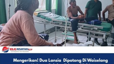 Mengerikan! Dua Lansia Dipotong Di Waiselang Kairatu, Pelaku diduga ODGJ