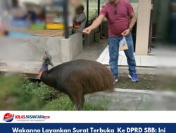 Wakano Layankan Surat Terbuka  Ke DPRD SBB: Ini  Pembantaian Hirarki Birokrasi! Istri Bupati  Bukan  Pejabat  Negara