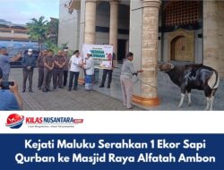 Kejati Maluku Serahkan 1 Ekor Sapi Qurban ke Masjid Raya Alfatah Ambon